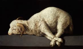 lamb.jpg